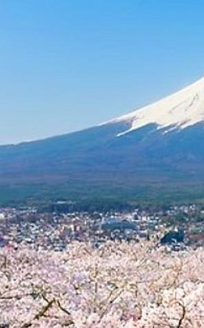 Japonia - co warto obejrzeć w podróżach indywidualnych i zorganizowanych