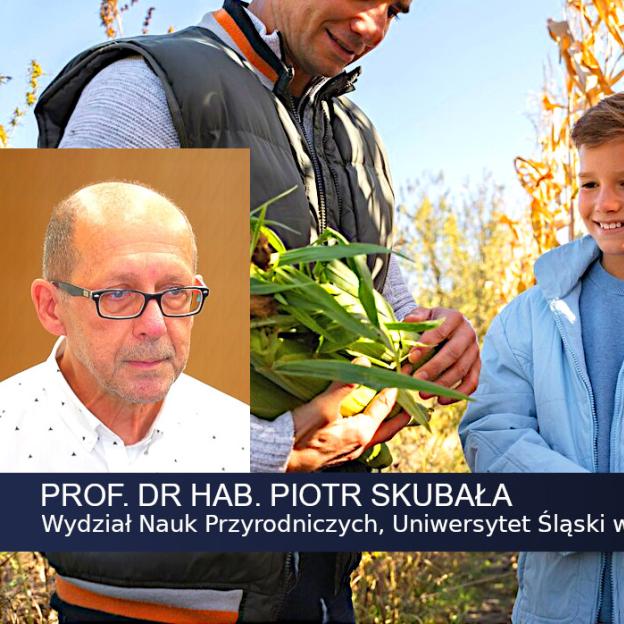 [VIDEO] Rośnie liczba producentów ekologicznych zarówno w Polsce, jak i innych krajach Unii. Wciąż jednak jest to ułamek produkcji rolnej