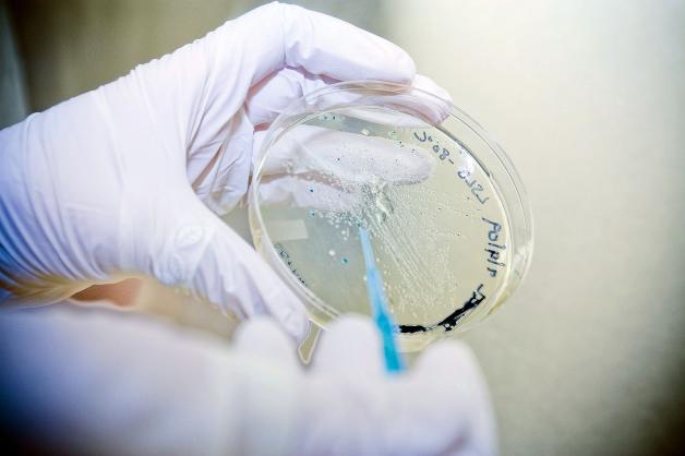 Powstaje coraz więcej biotechnologicznych start-upów. Polska ma szanse stać się jednym z liderów w branży